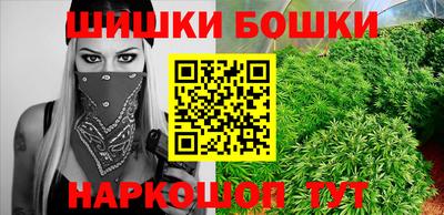 МДПВ Обь