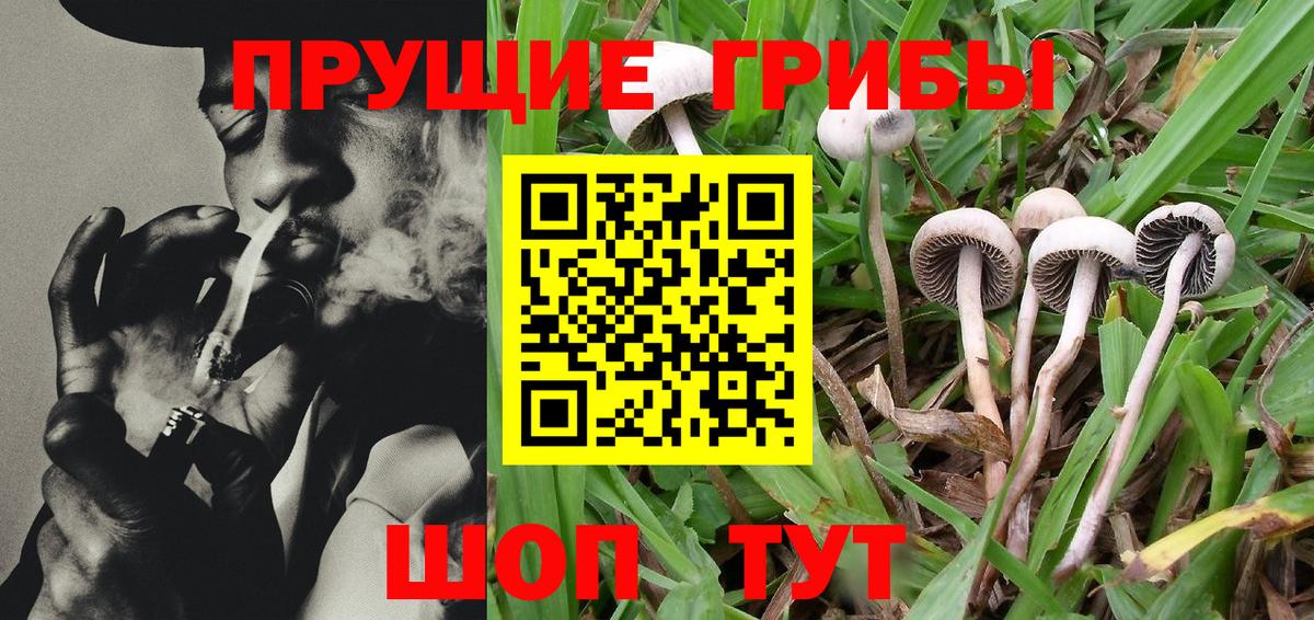 Галлюциногенные грибы Magic Shrooms  Вход с VPN  Тосно 