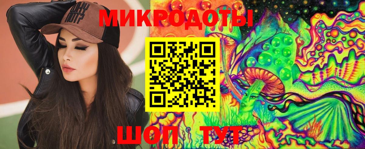 Псилоцибиновые грибы Cubensis Тосно